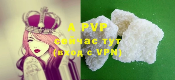 прущие крисы Весьегонск