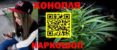 прущие грибы Апшеронск