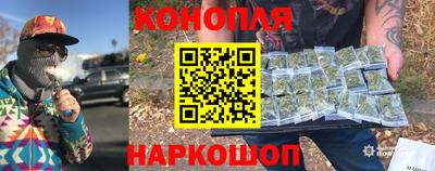 прущие грибы Апшеронск