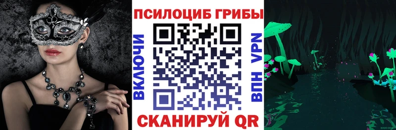 купить наркоту  Кушва  darknet официальный сайт  Псилоцибиновые грибы Psilocybe 