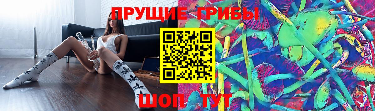 Галлюциногенные грибы прущие грибы Кушва